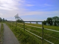 skogspromenad004.JPG